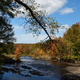 Illustration for article titled Fall Photos 1